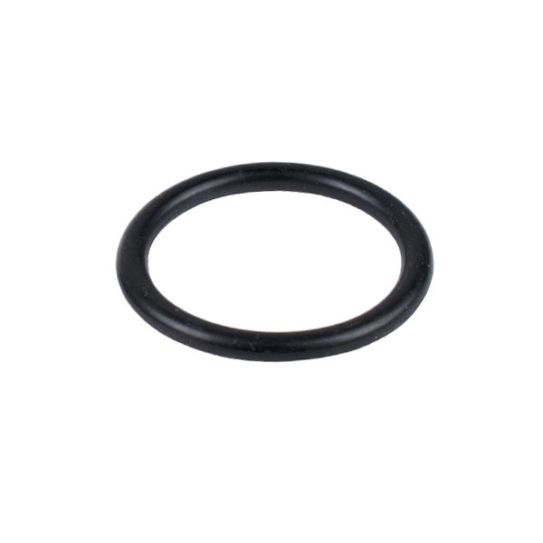 O-RING (100 PC)