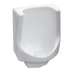 ZURN Z5795 WHITE WATERLESS URINAL WITH 2” IPS OUTLET FLANGE