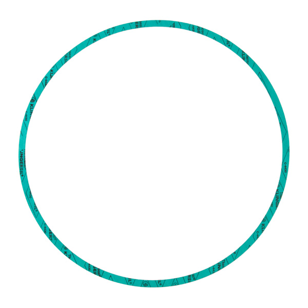 ARMSTRONG 426401-005 PUMP CASING / BODY GASKET - NITRILE ARMSTRONG 426401-005 PUMP CASING / BODY GASKET - NITRILE