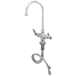 T & S BRASS B0300-VR SINGLE HOLE, TWO HANDLE PANTRY FAUCET W/ GOOSENECK SPOUT-VANDAL RESISTANT