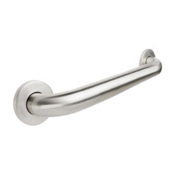 S/S GRAB BAR 24" STRAIGHT CONCEALED FLANGE
